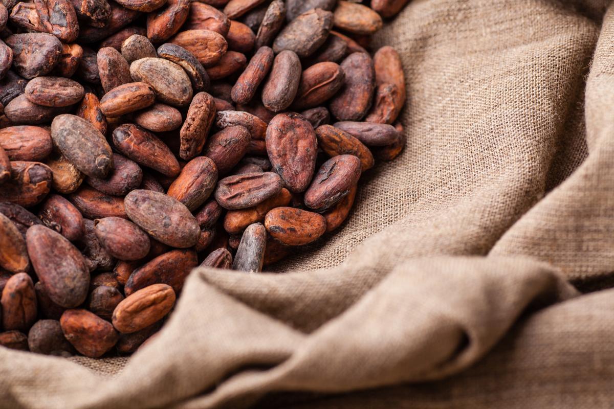 Cocoa beans