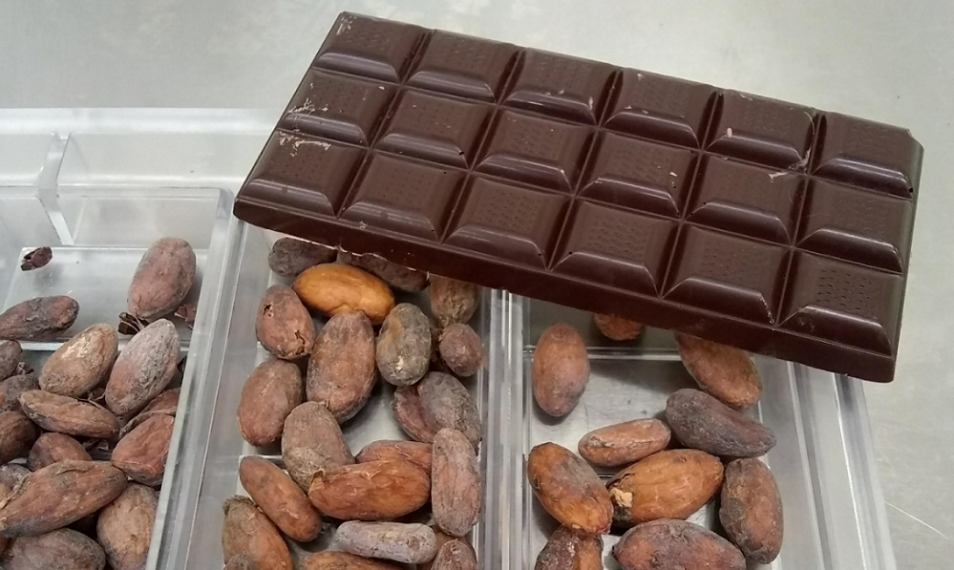 bean to bar chocolate