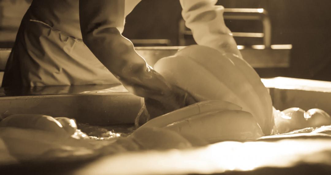 Sepia photo of mozzarella cheese making